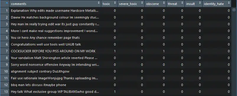 Dataset Screenshot